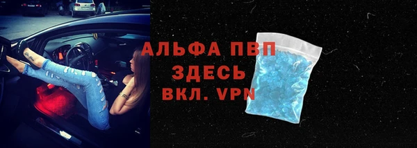 сатива Армянск