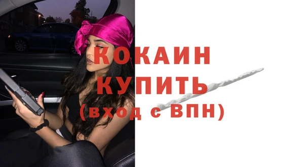 ГАЛЛЮЦИНОГЕННЫЕ ГРИБЫ Кукмор