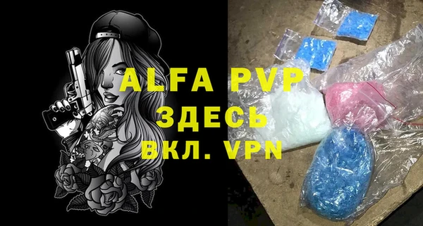 ГАЛЛЮЦИНОГЕННЫЕ ГРИБЫ Кукмор