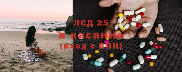ГАЛЛЮЦИНОГЕННЫЕ ГРИБЫ Кукмор
